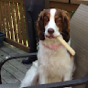 Meet your Posher, Gulianna